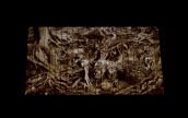 Siegfried